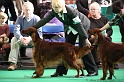 Crufts2011 753